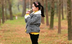 国产麻豆大豆行情